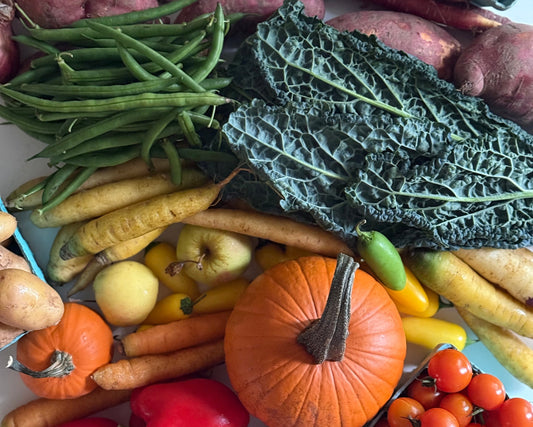 Thanksgiving Organic Mixed Farm Bag; NJ, Maplewood and Livingston Delivery